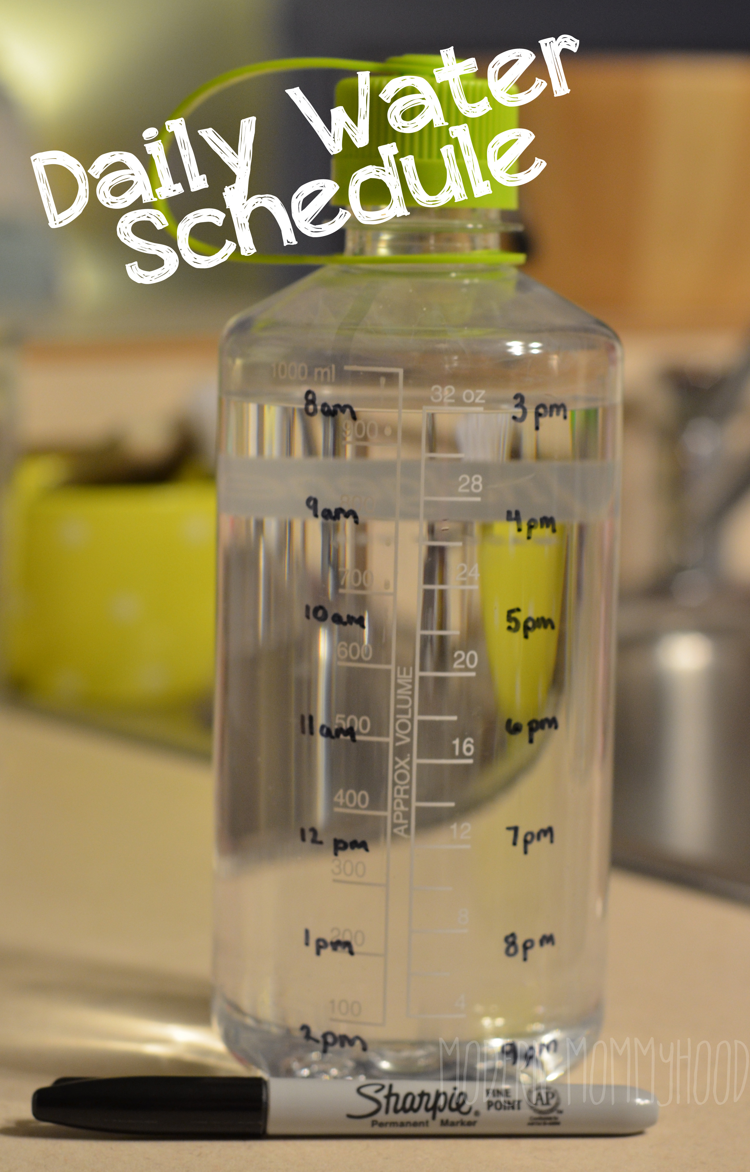 Daily Water Schedule - easy to manage/follow water intake
