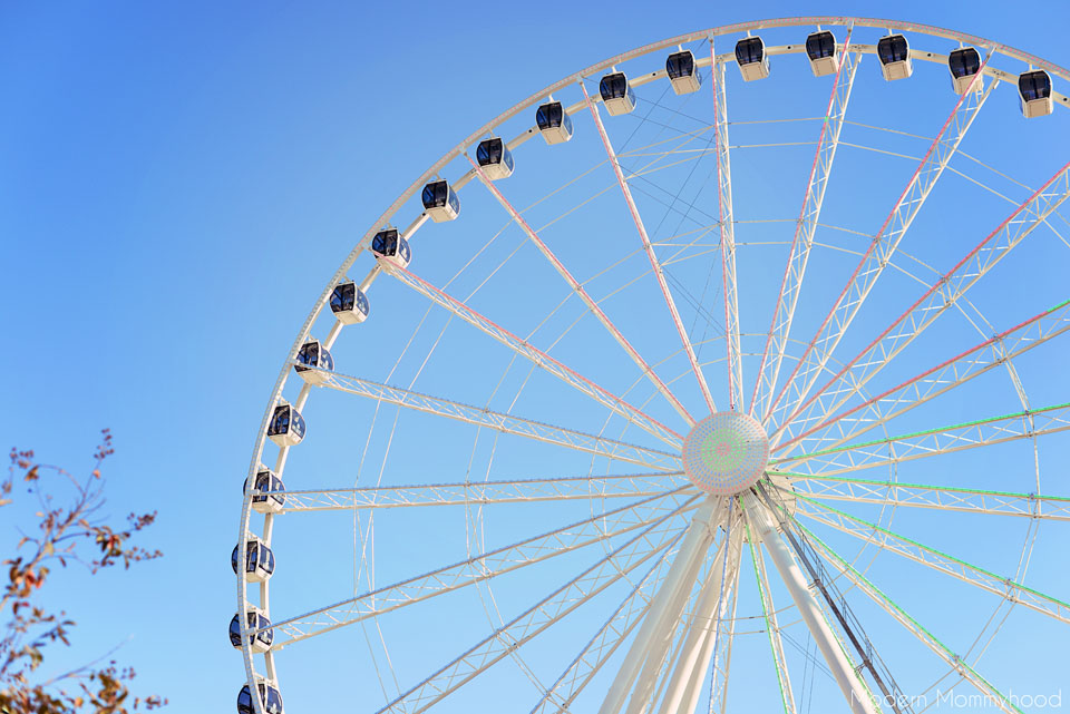 The Great Smoky Mountain Wheel Pigeon Forge TN