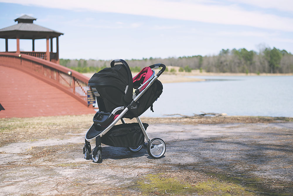 recaro performance denali stroller