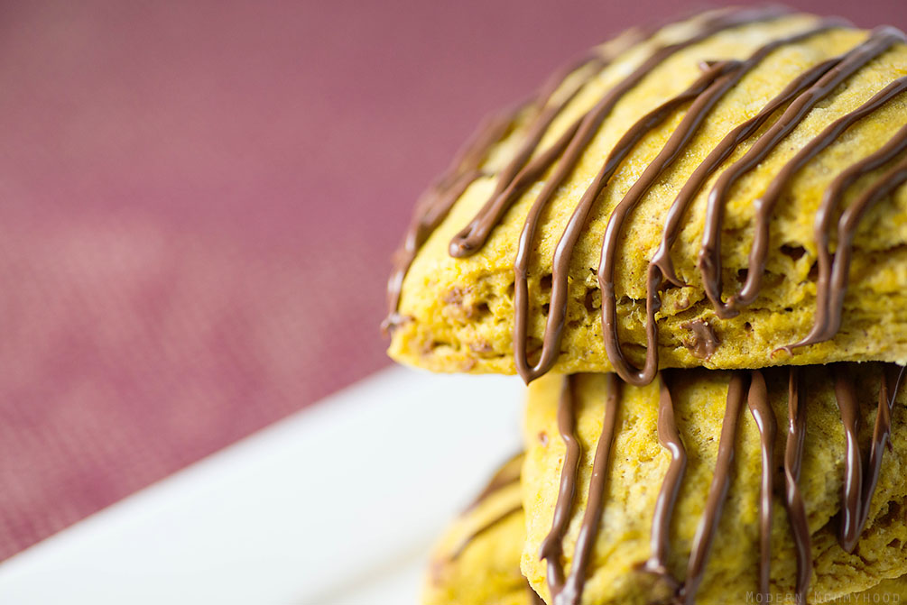 Pumpkin Scone Recipe with a warm and delicious chocolate drizzle! Who can ever have enough pumpkin?!